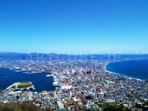 箱館山の写真（ジオラマ風）